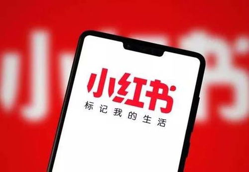 老铁种草坑你没商量,你中招了吗